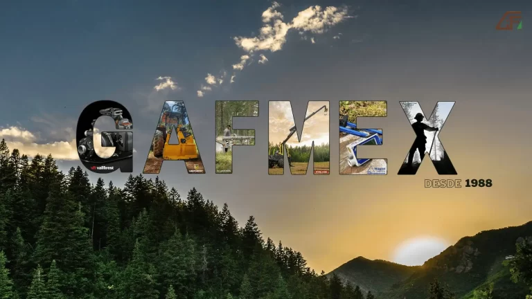 Inicio 1 Logo GAFMEX con imágenes de maquinaria forestal sobre paisaje al atardecer